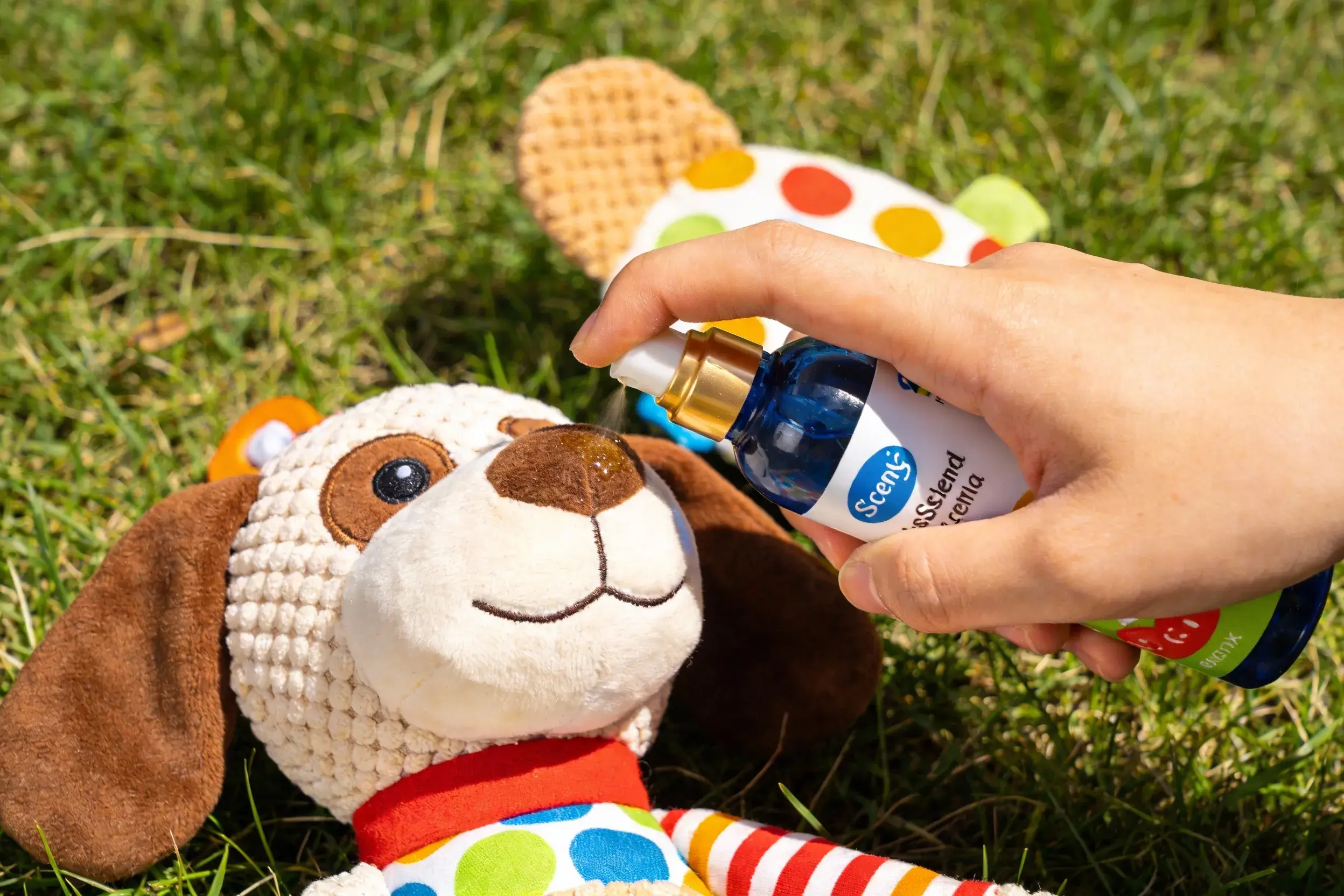 Close-up of a hand applying a scent to a fabric dog toy